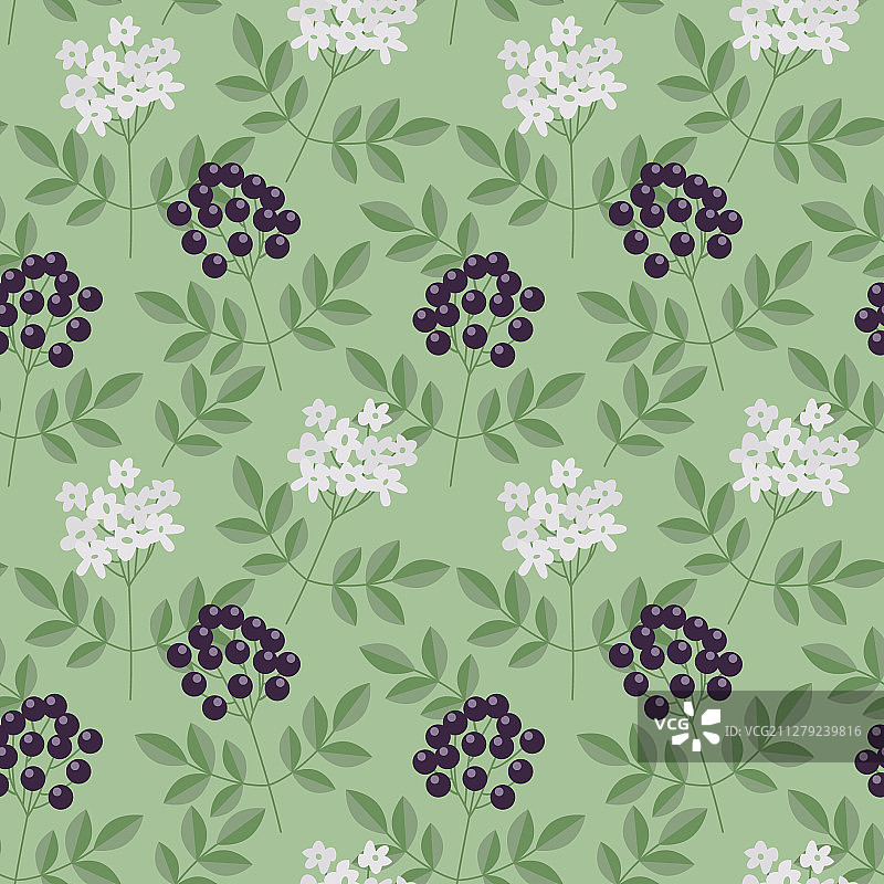 无缝接骨木浆果图案图片素材