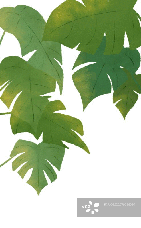 植物叶子动态GIF元素背景插画图片素材
