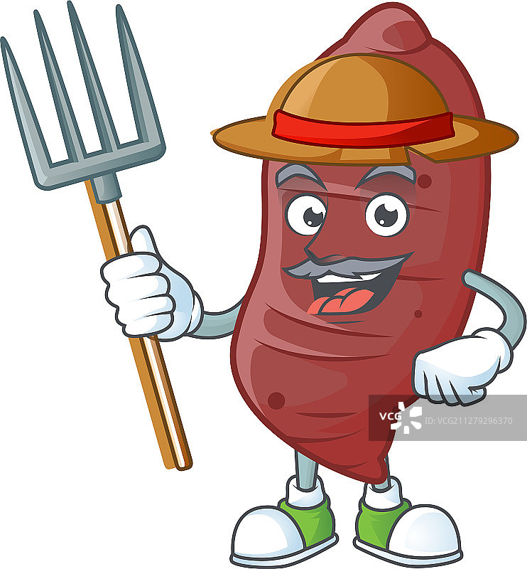 快乐的农民甘薯卡通吉祥物与图片素材