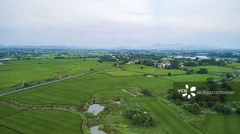 航拍乡村田园风光图片素材