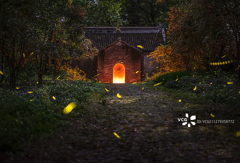 夏日回忆（流萤飞舞志公殿）图片素材