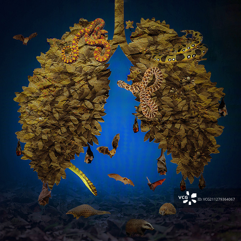 《请珍惜您的肺》图片素材