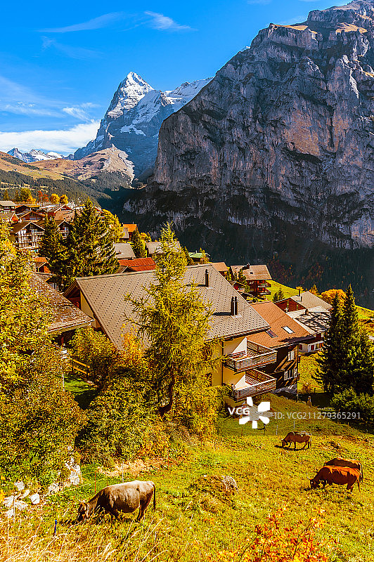 瑞士雪朗峰下的美丽小镇图片素材