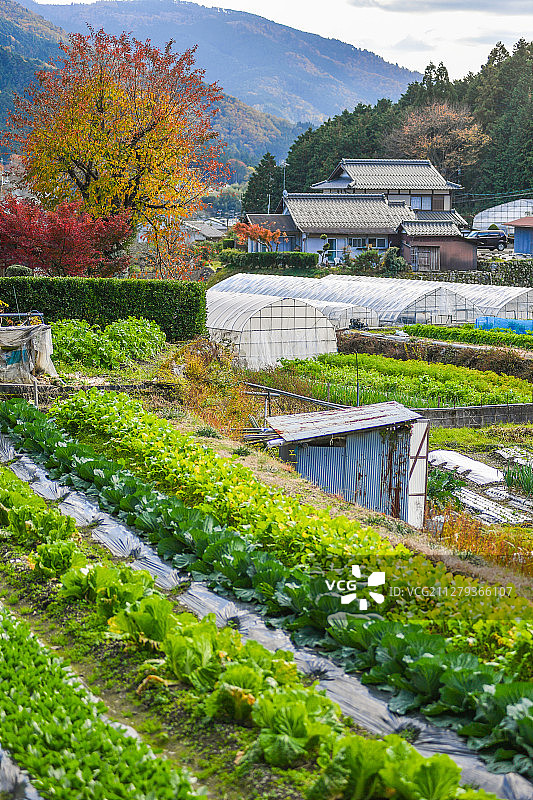 日本京都北部山村风光图片素材