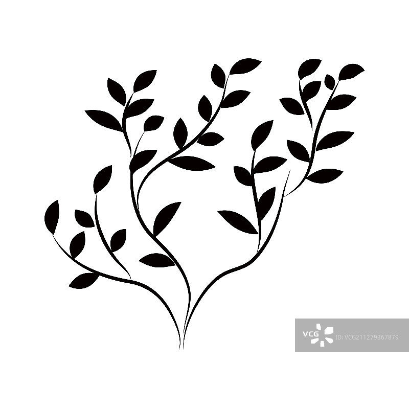 树木和树叶图片素材