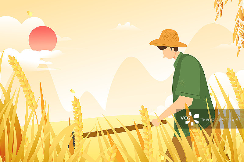 谷雨芒种水稻小麦丰收播种耕耘谷物生长二十四节气中国风矢量插画图片素材