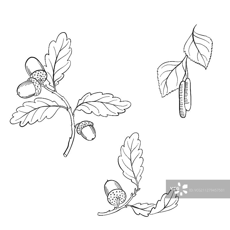 树枝绘画图片素材