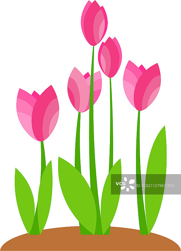 春夏盛开的粉色森林花园图片素材