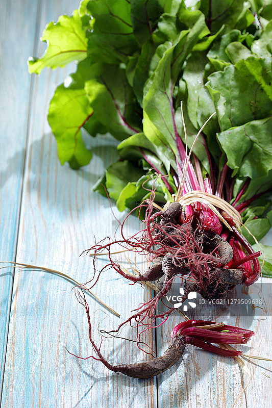 带叶的甜菜根幼苗图片素材