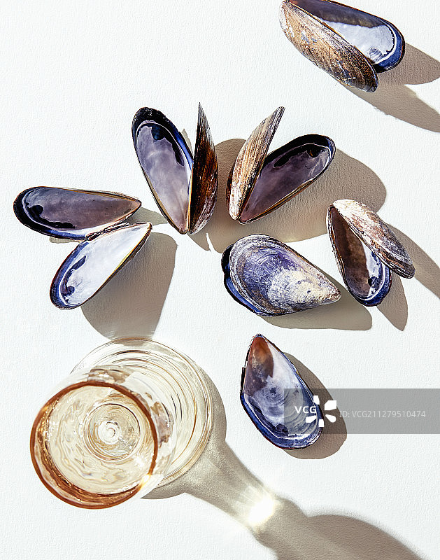 贻贝图片素材
