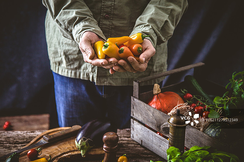 农民手持收获的蔬菜图片素材
