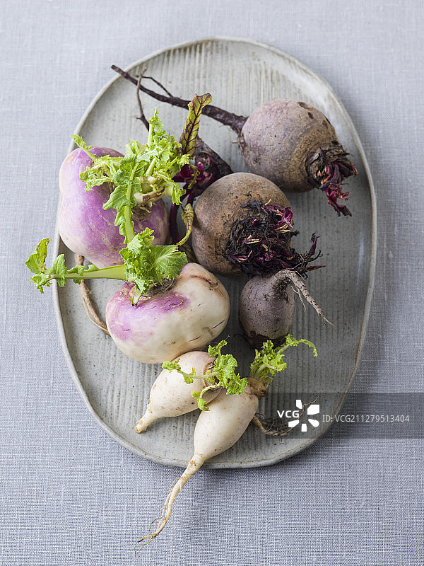 冬季蔬菜（甜菜根、芜菁、萝卜）图片素材
