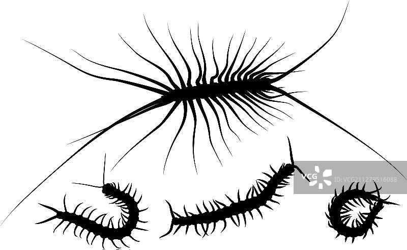 蜈蚣剪影图片素材