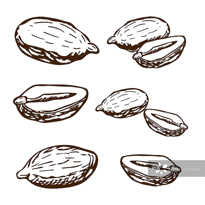 手绘花生合集雕刻图片素材