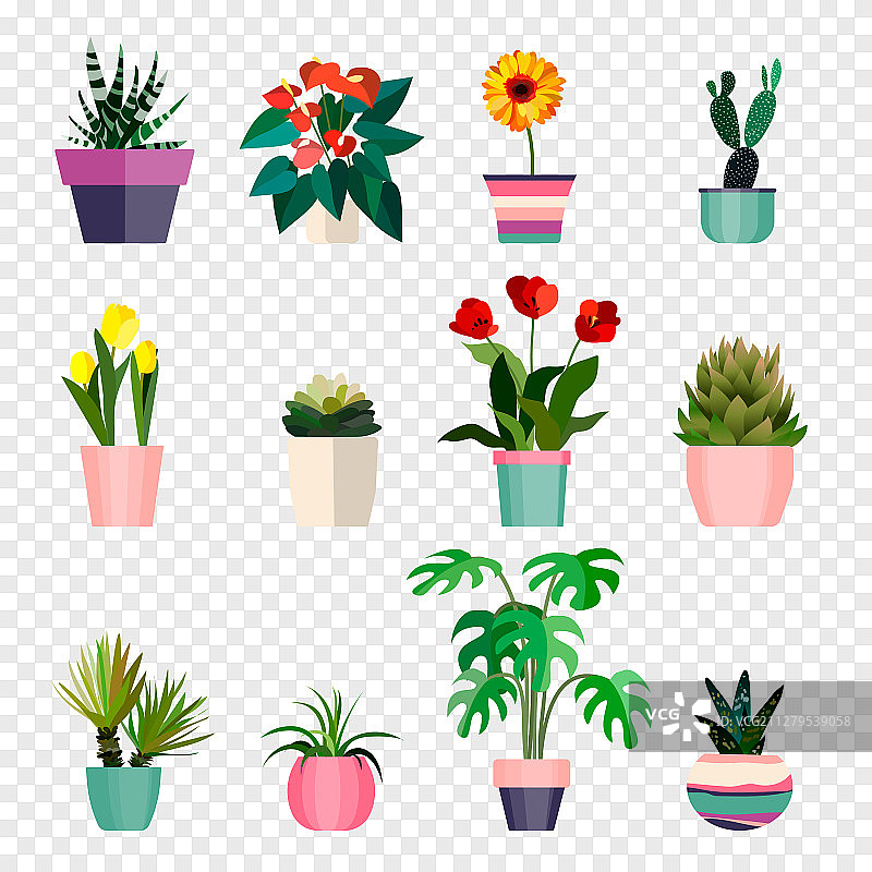 户外盆栽绿色植物图片素材