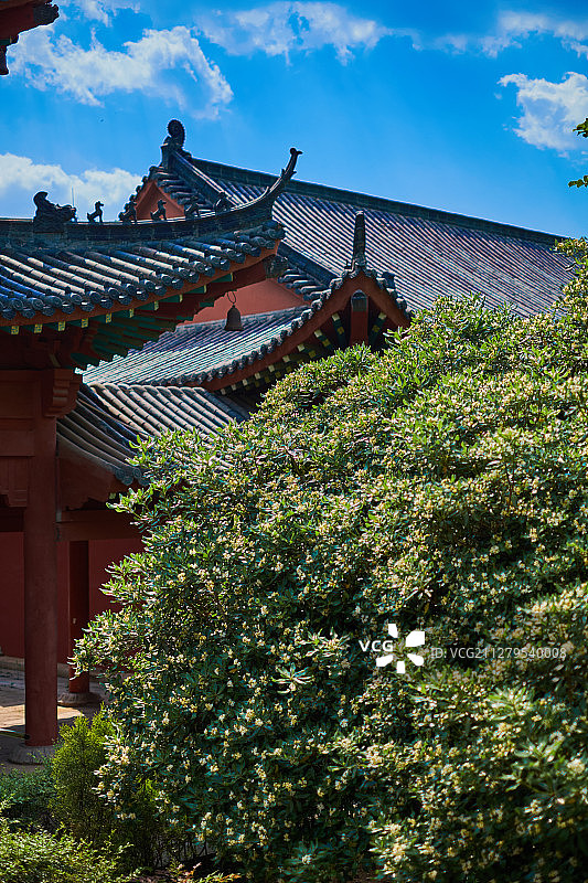 湖北四祖寺图片素材