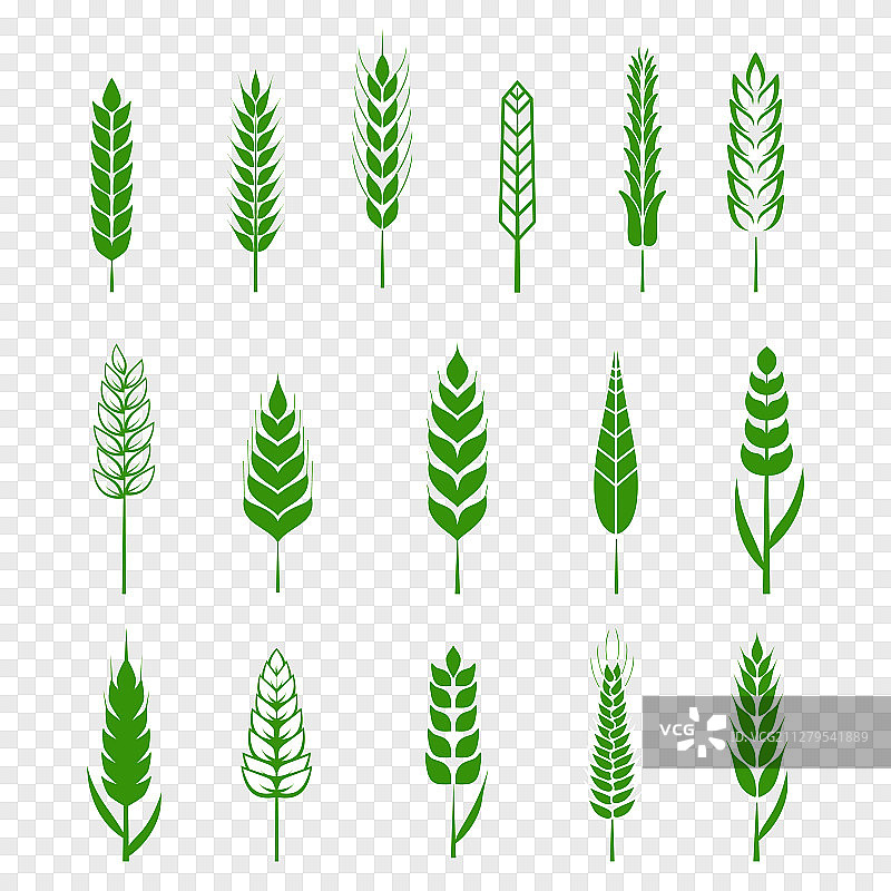 简约绿色麦穗图标和小麦图片素材