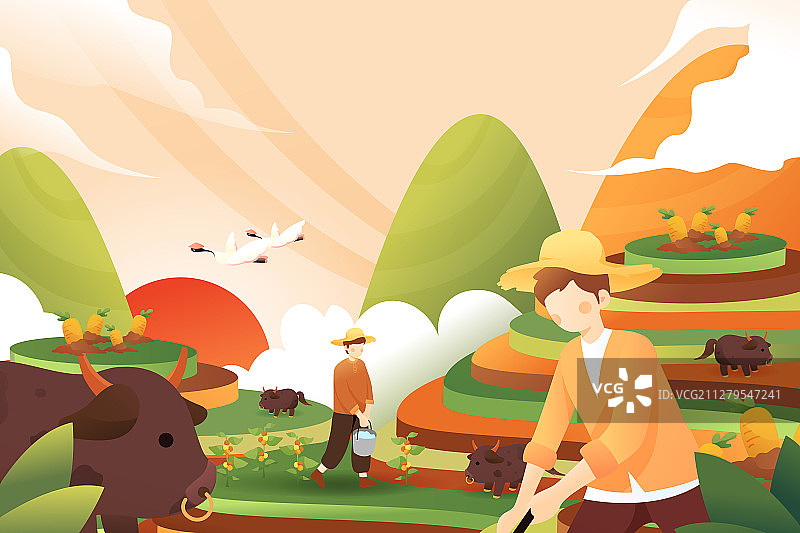 谷雨小满芒种水稻小麦丰收梯田放牛风景二十四节气中国风矢量插画图片素材