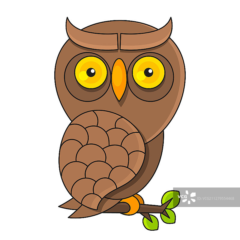 适合的白色背景上的猫头鹰图片素材