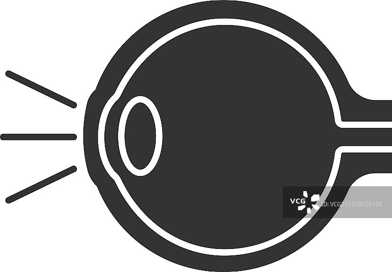 眼部解剖结构图示图片素材