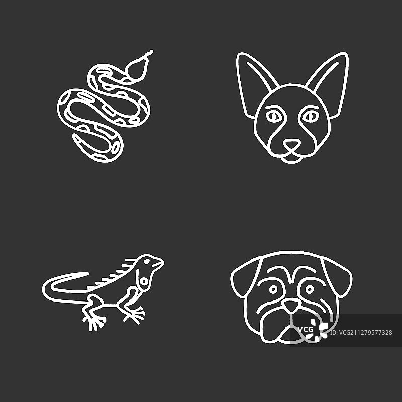 宠物粉笔图标集图片素材