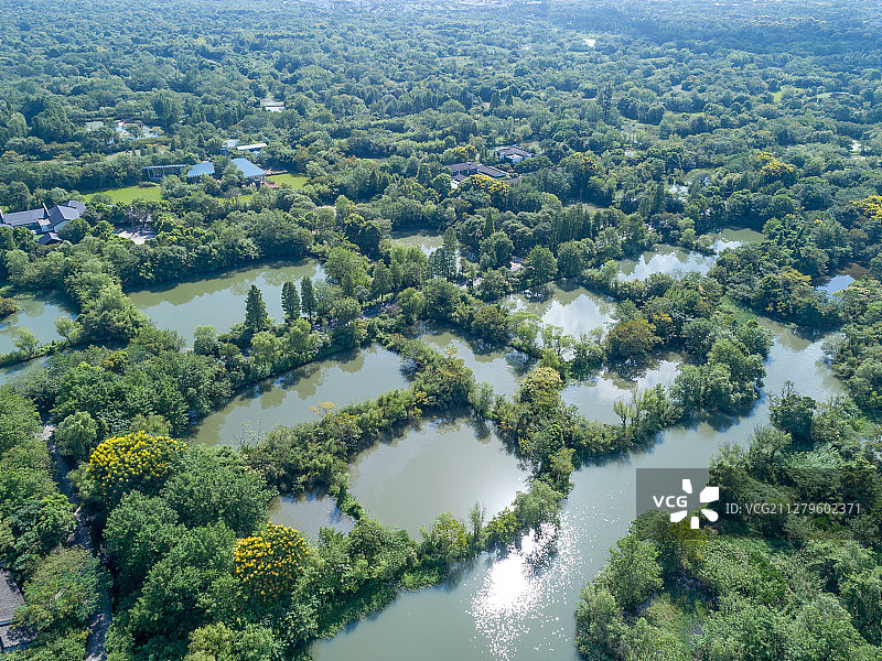 杭州西溪湿地夏季航拍图片素材