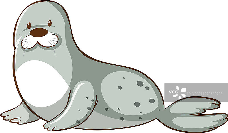 白色背景上的灰色海豹图片素材