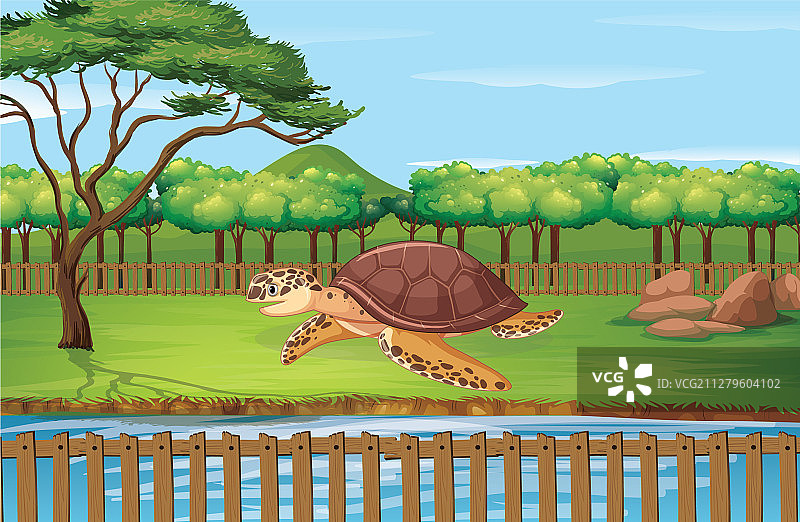 动物园里的乌龟场景图片素材