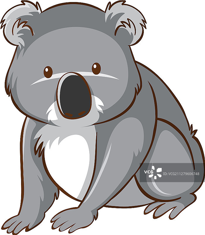 白色背景上的可爱考拉图片素材