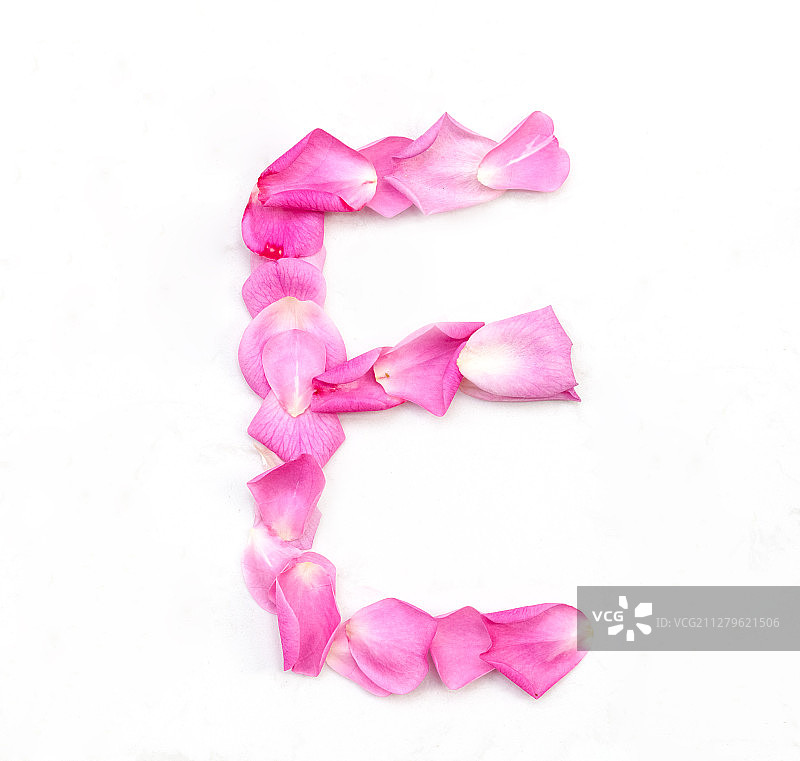 鲜花花瓣拼出来的字母E图片素材