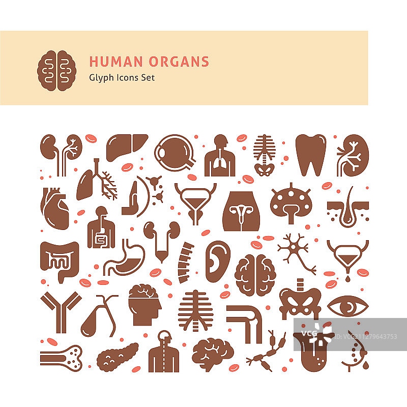 人体内脏器官图标集图片素材