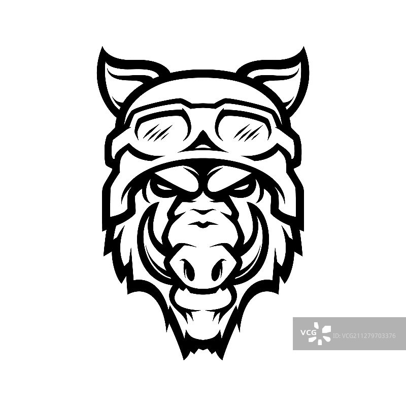 野猪头吉祥物图片素材