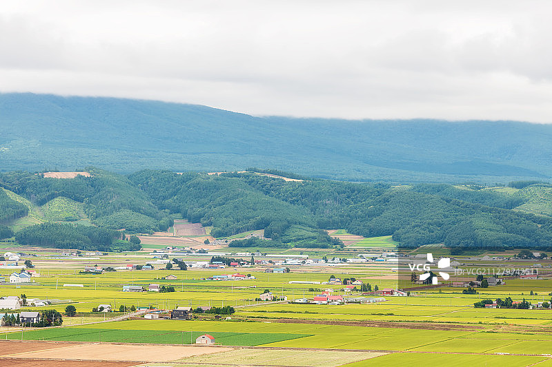 日本北海道富良野乡村田园风光高视角图片素材