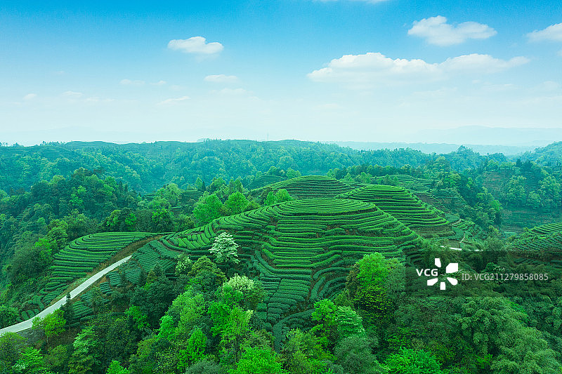 航拍茶山风光图片素材
