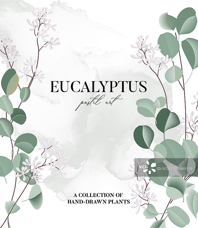 桉树花卉水彩艺术婚礼卡片图片素材