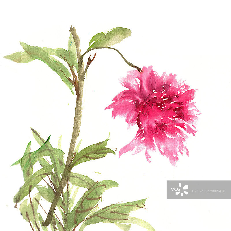 红艳艳的花朵图片素材