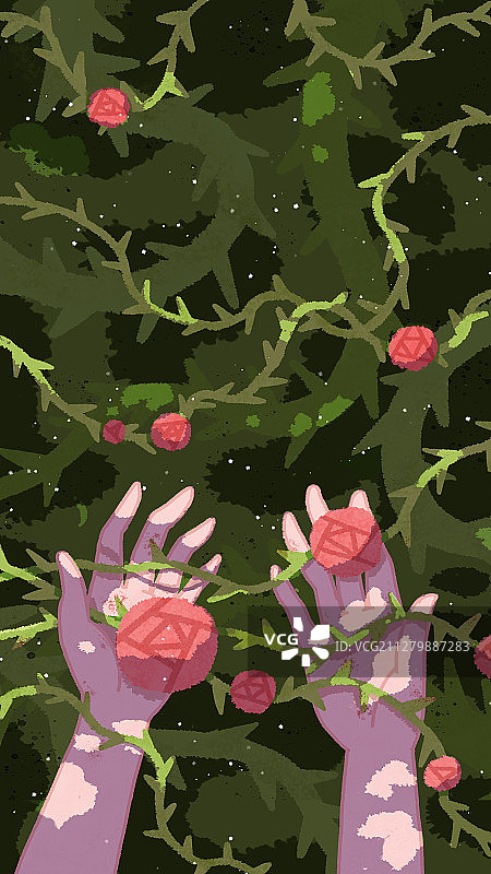 情感荆棘玫瑰竖插图壁纸图片素材