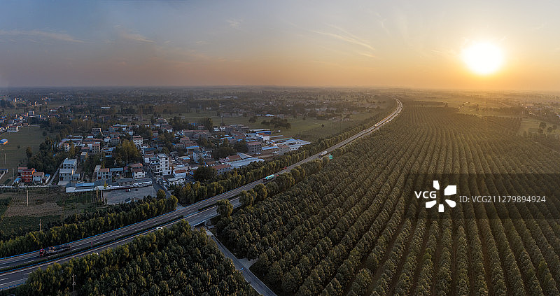 兰考徐场村乐器村与泡桐林图片素材