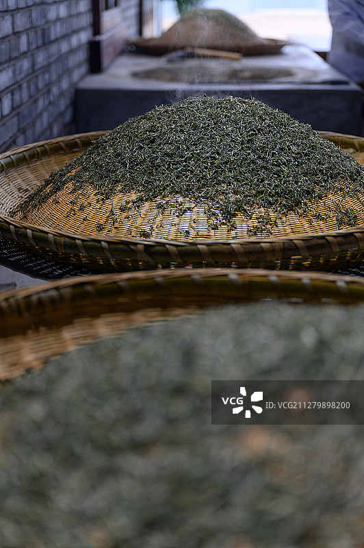 烘干茶叶图片素材