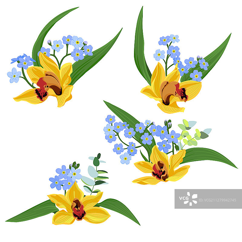 兰花绘画图片素材