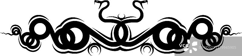 孤立的响尾蛇爬行动物图片素材