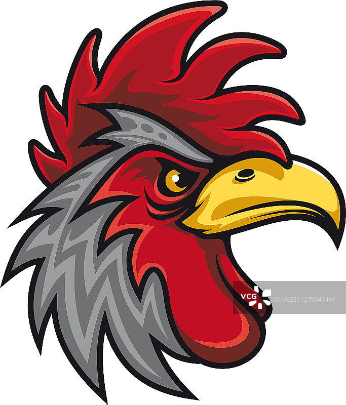 带鸡冠的鸟，黑色公鸡图片素材