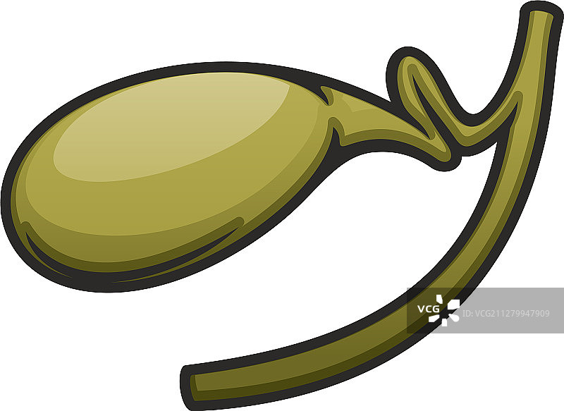 人类胆囊图标图片素材