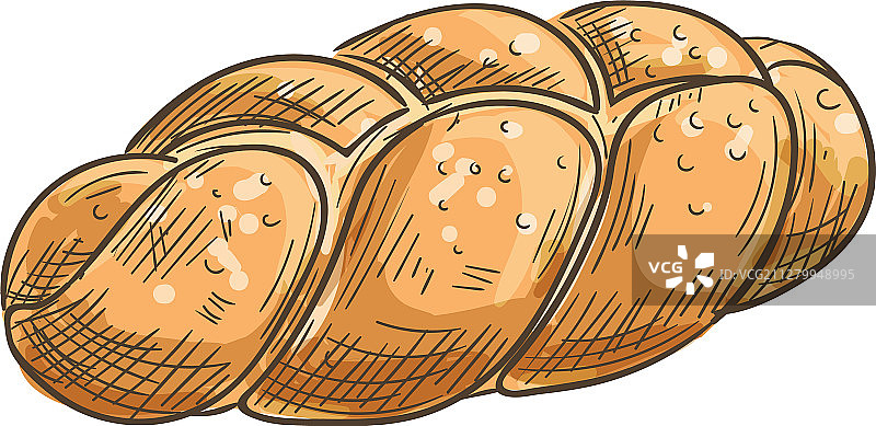 甜面包辫子 isolated sketch图片素材