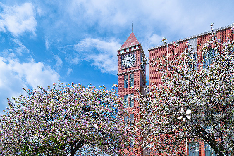 保山大学校园春天景色图片素材