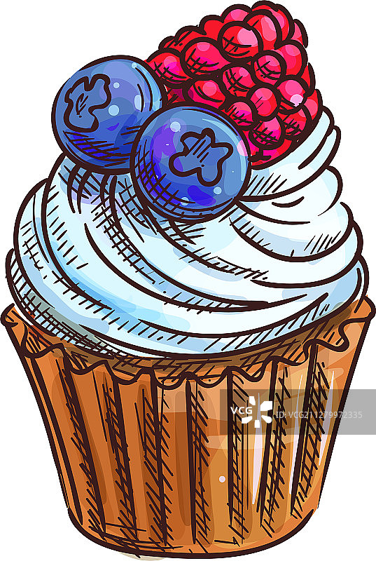 蓝莓覆盆子松饼纸杯蛋糕图片素材