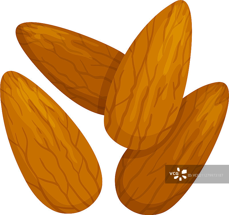 食用杏仁果仁图片素材