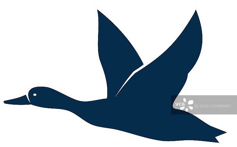 飞行中的野鸭黑色剪影图片素材