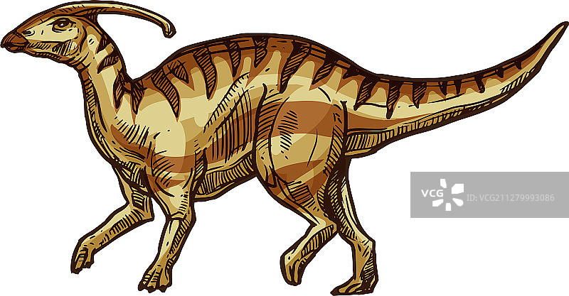 孤立的副栉龙鸟脚类恐龙动物图片素材