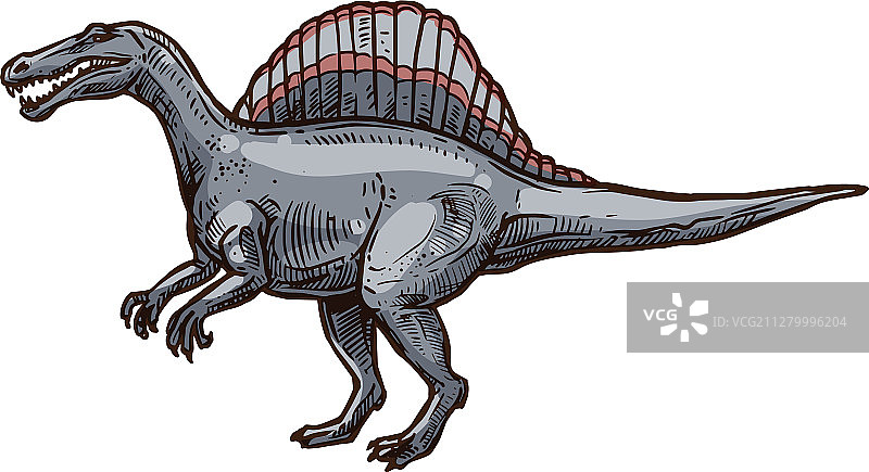 三角龙吃草，孤立的甲龙素描图片素材